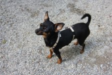 53_gc_stammtisch_29_20150506